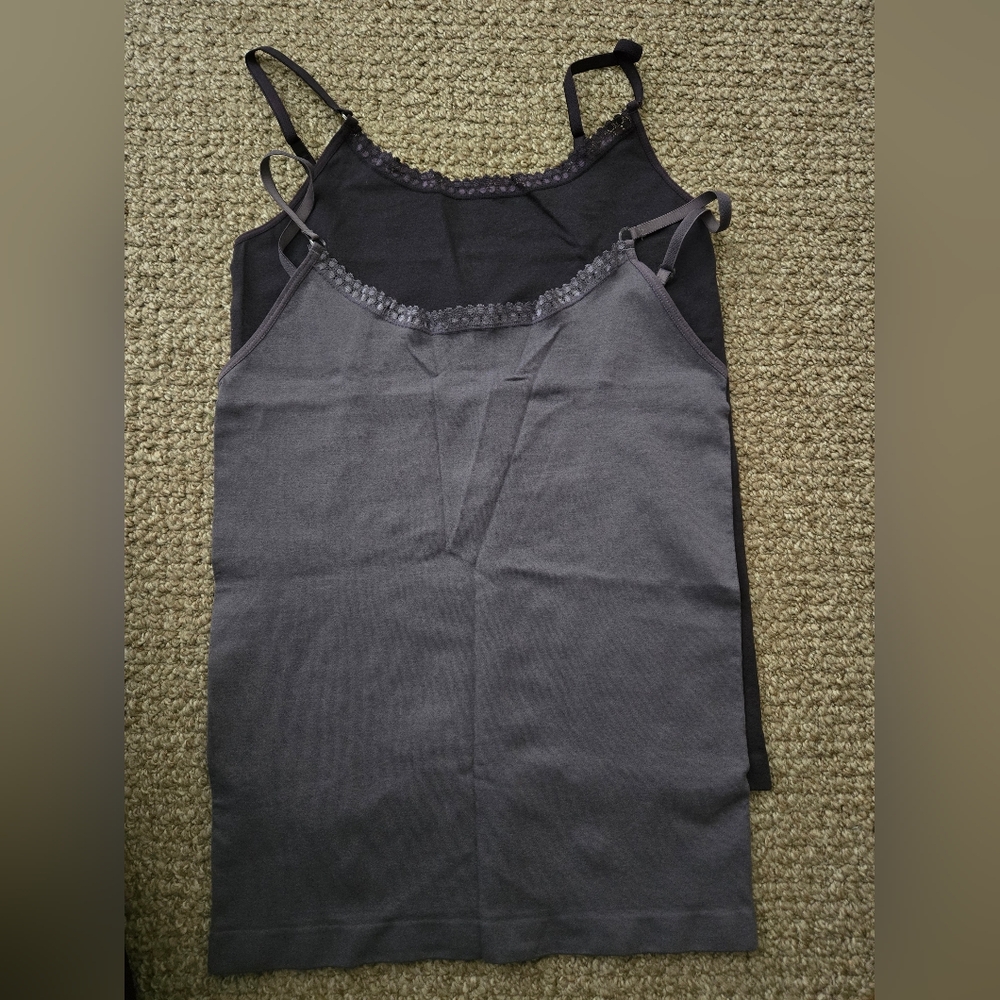 2 Lebody tanks